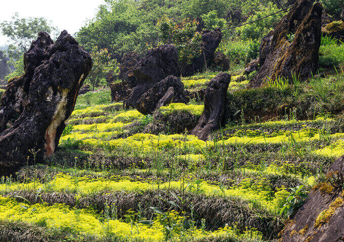 limestone-formation